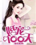 婚宠100天