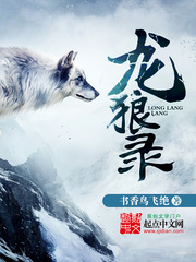 龙狼录